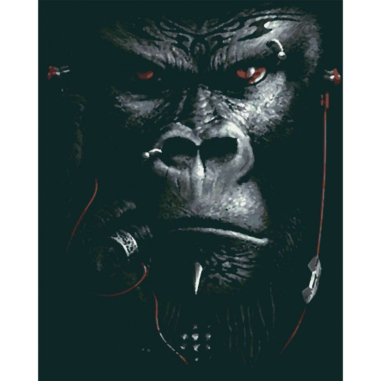 RB-0168 Картина за номерами Бос Riviera Blanca