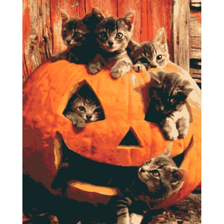 RB-0182 Картина за номерами Гарбузові котики Riviera Blanca