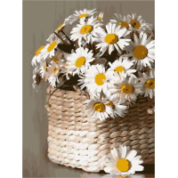 AS1067 Картина за номерами Ромашки ArtStory