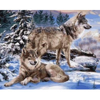 Картина алмазна вишивка My Art Пара вовків (TN1008, На підрамнику)