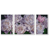 VPT054 Картина за номерами Пишність півонійBabylon