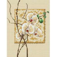 Алмазна мозаїка ColorArt Орхідеї (CLR-ST404, Без підрамника)