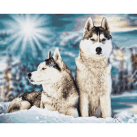 BK-GX45465 Розмальовка по номерах Сибірські хаскіRainbow Art BK-GX45465 Розмальовка по номерах Сибірські хаскіRainbow Art